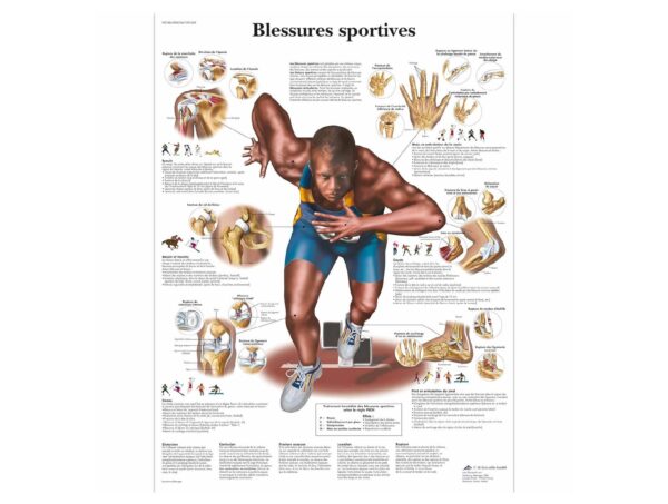 Blessures sportives