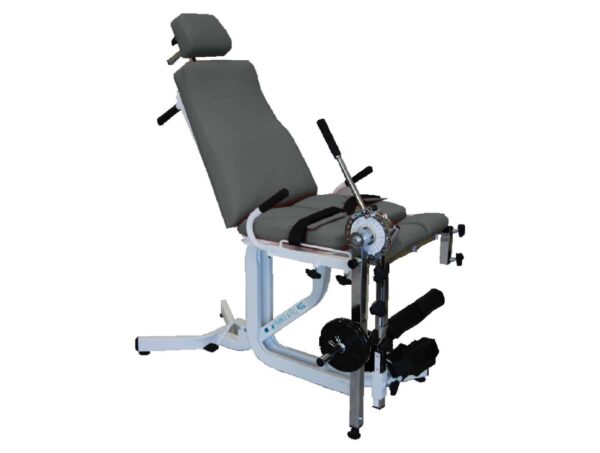 Fauteuils Quadriceps