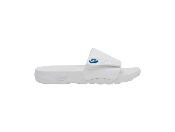Nautilus blanc – Image 2